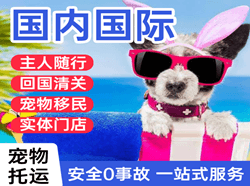 禄口航空货运国际宠物托运 【国